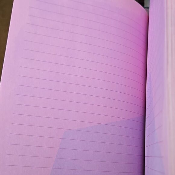 Footprints journal As Is hardcover Inspiration Book jot notes pink color pages - Picture 3 of 16